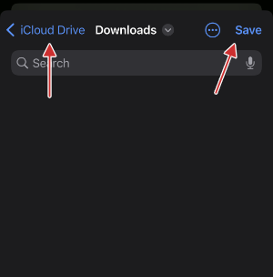 App Download View 4 in Safari iOS
